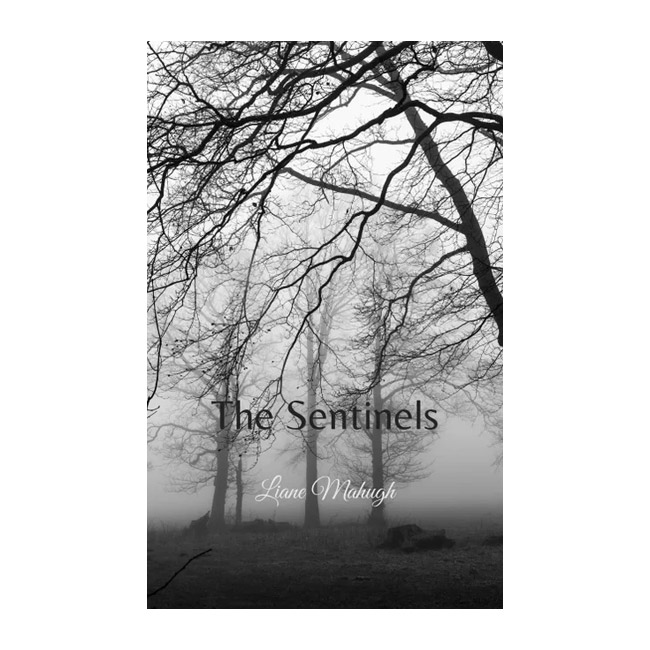The Sentinels, a novel written in Canada by Vancouver Island Author Liane Mahugh